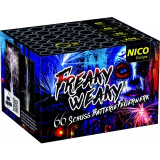 Batteriefeuerwerk Freay Weaky 66 Schuss